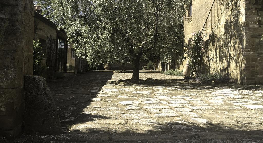 Hotel La Saracina à Pienza Extérieur photo